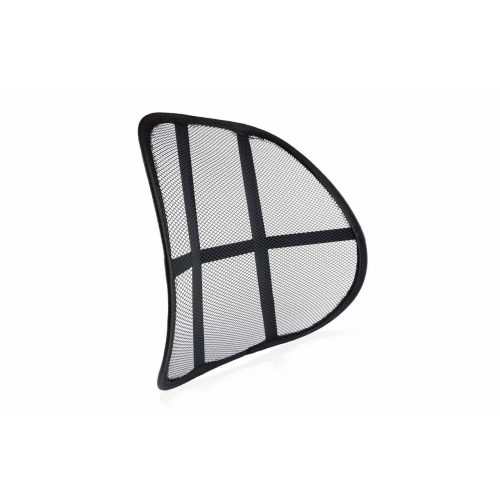 02506_2-mesh-lumbar-back-support.jpg