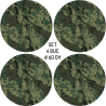 FOLII-JANTE-07C.png