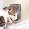 KaktusKedi-Kil-Toplama-ve-Kedi-Kasinma-A-5e18.jpg