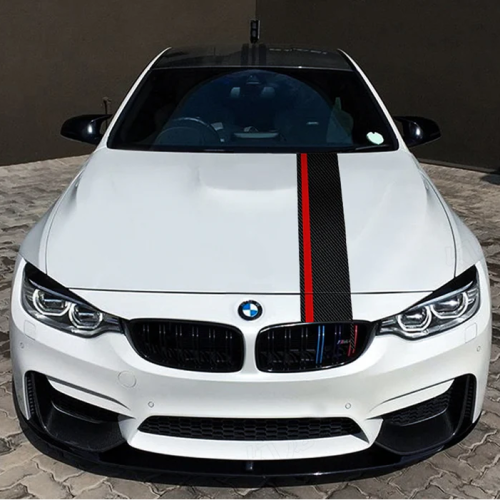 double-bar-rally-stripe-05_734x700.png