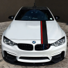double-bar-rally-stripe-05_734x700.png