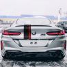 double-bar-rally-stripe-08_808x700.png