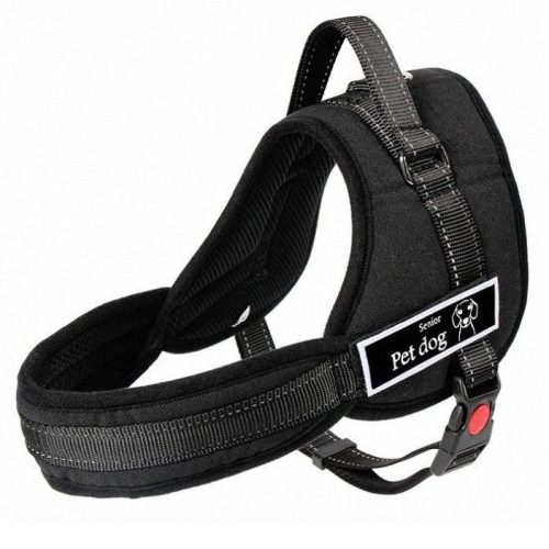 senior-pet-dog-harness-1.jpg
